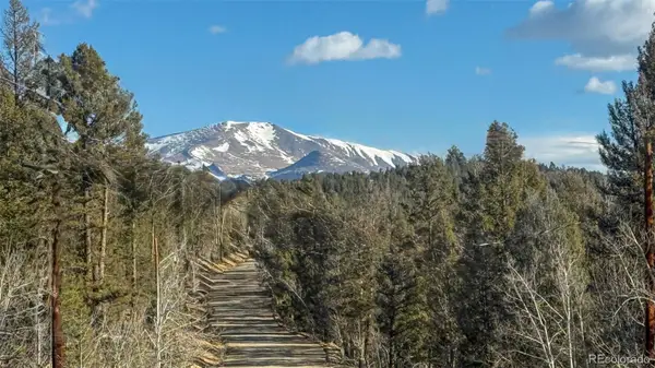 3132 Middle Fork Vista, Fairplay, CO 80440