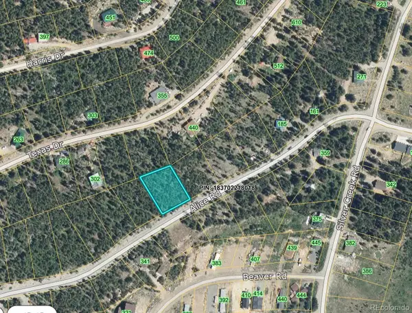 Lot 678 Alice Road, Idaho Springs, CO 80453