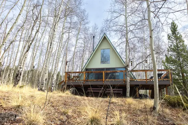 206 Empire Circle, Leadville, CO 80461