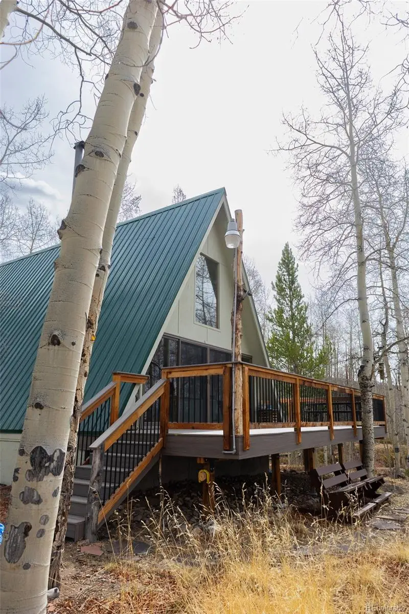 206 Empire Circle, Leadville, CO 80461 - #2