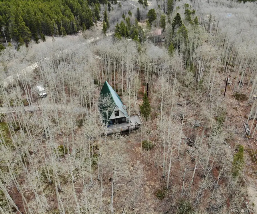 206 Empire Circle, Leadville, CO 80461 - #3