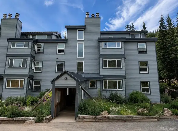 9366 Fall River #106, Idaho Springs, CO 80452