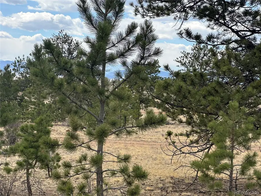 Chicha Road, Hartsel, CO 80449 - #2