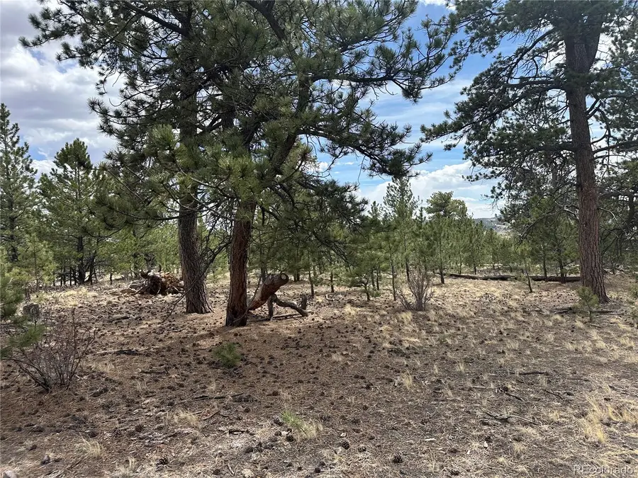 Chicha Road, Hartsel, CO 80449 - #3