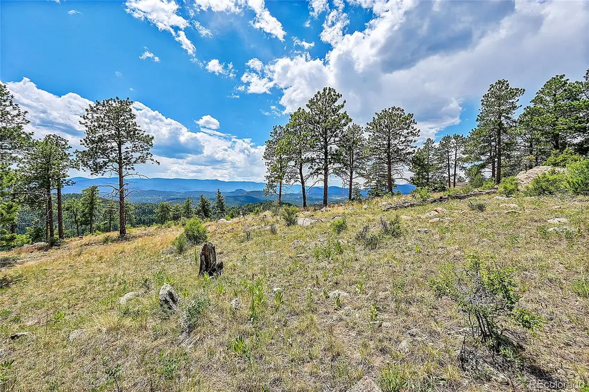 33550 Mount Wilson Trail, Pine, CO 80470 - #1