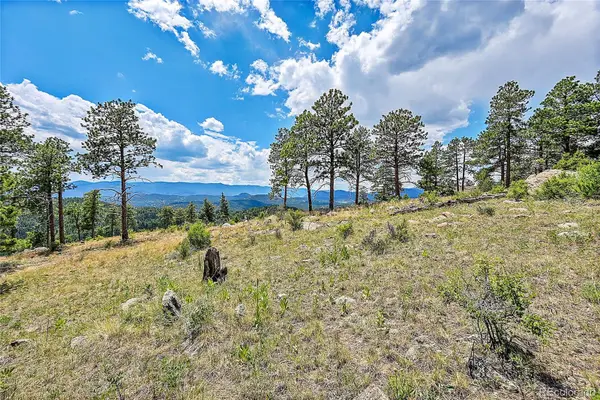 33550 Mount Wilson Trail, Pine, CO 80470