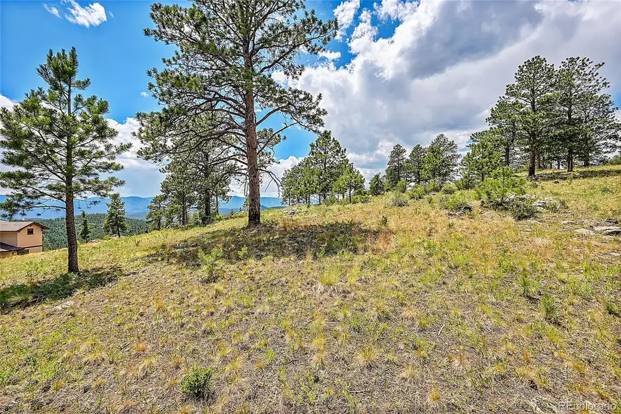 33550 Mount Wilson Trail, Pine, CO 80470 - #3