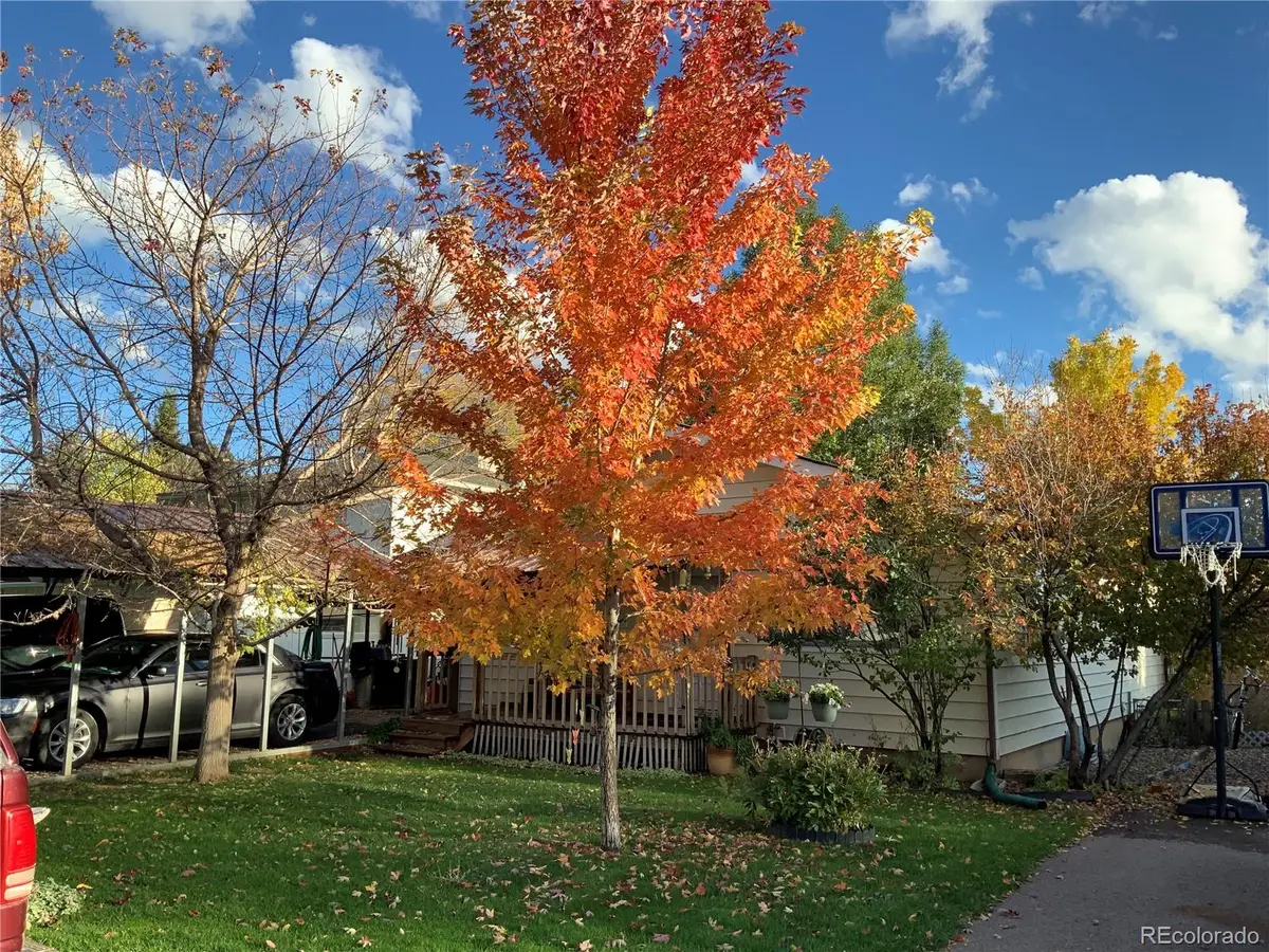 866 Cleveland Street, Meeker, CO 81641 - #1