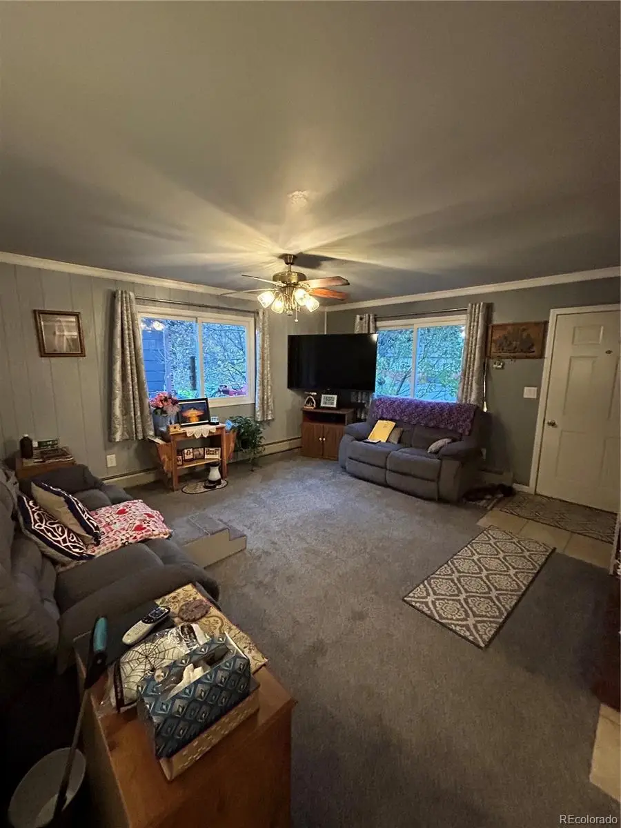 866 Cleveland Street, Meeker, CO 81641 - #2