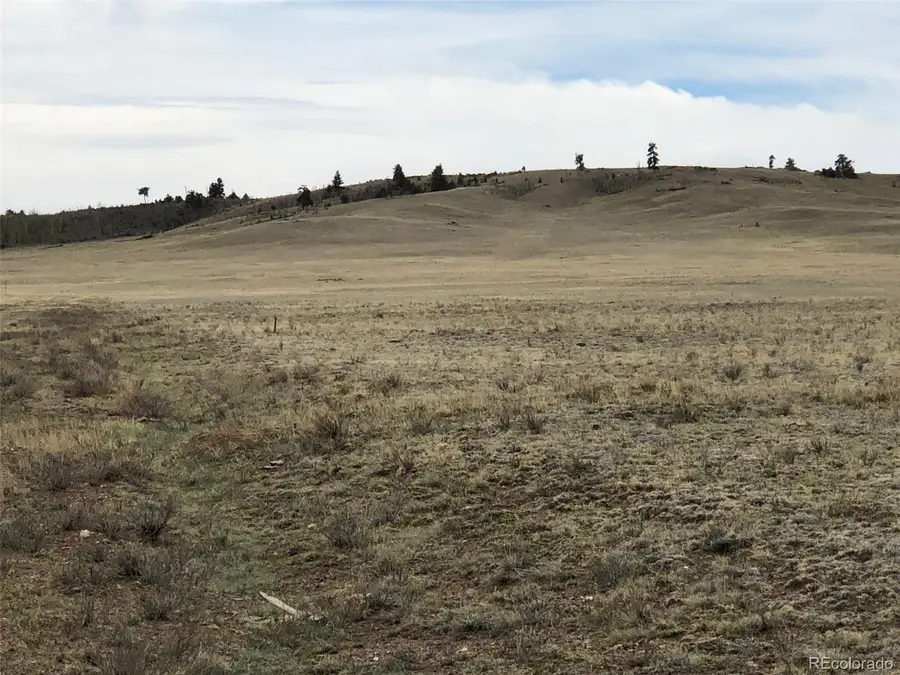 000 Black Beaver Circle, Hartsel, CO 80449 - #2