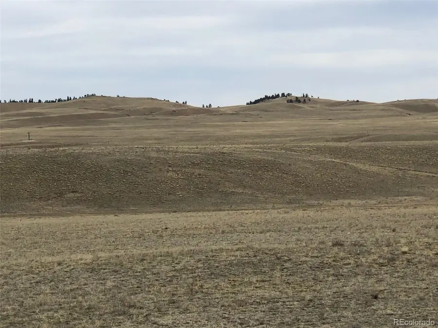 000 Black Beaver Circle, Hartsel, CO 80449 - #3