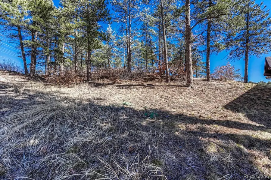 2111 Ramblewood Court, Castle Rock, CO 80104 - #3