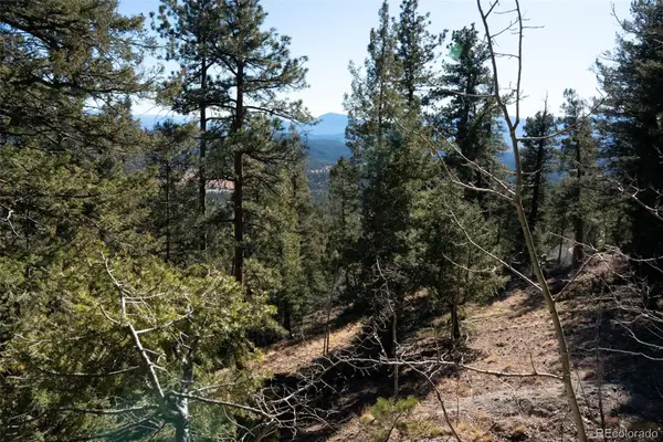 11722 Braun Way, Conifer, CO 80433