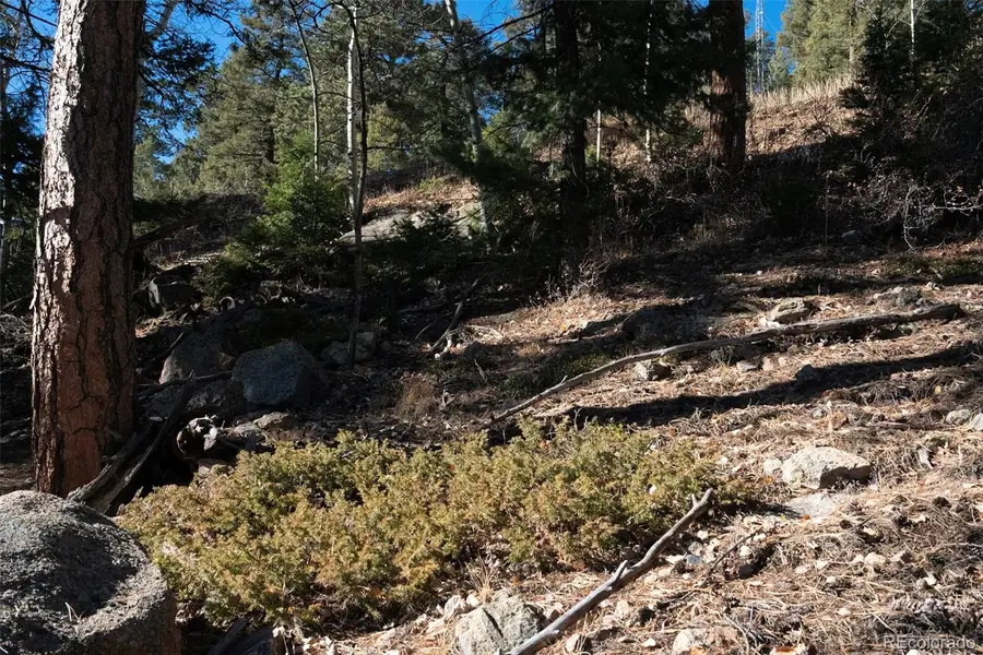 11722 Braun Way, Conifer, CO 80433 - Image #3