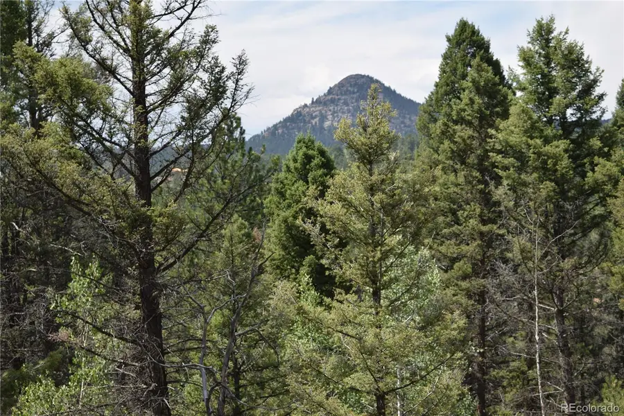 93 Kiowa Creek Trail, Florissant, CO 80816 - Image #2