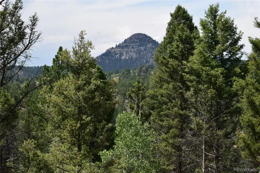 93 Kiowa Creek Trail, Florissant, CO 80816 - Image #3