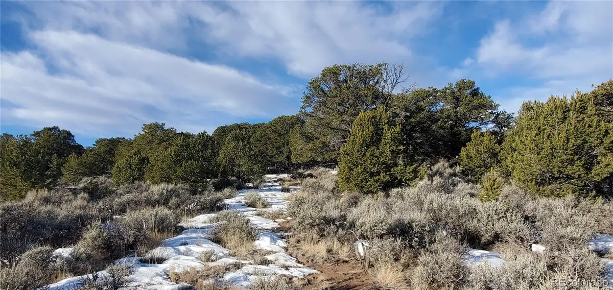 Lot 7265 Tiernan Road, Fort Garland, CO 81133 - Image #1