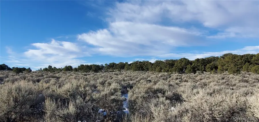 Lot 7265 Tiernan Road, Fort Garland, CO 81133 - Image #2