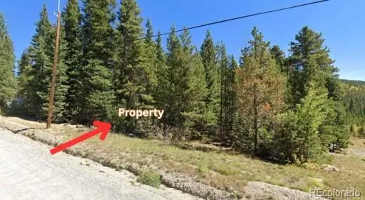 Lot 47 Silver Creek Road, Idaho Springs, CO 80452 - Image #1