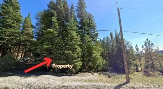 Lot 47 Silver Creek Road, Idaho Springs, CO 80452 - Image #2