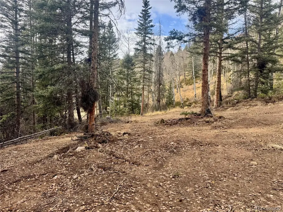 Ryland Road, San Luis, CO 81152 - Image #2