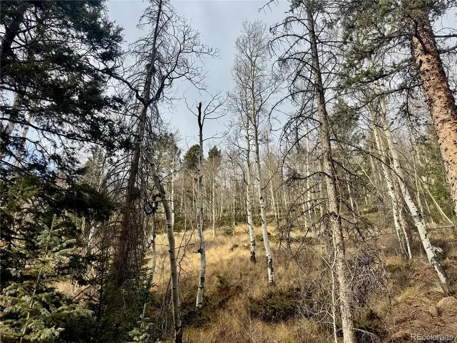 Ryland Road, San Luis, CO 81152 - Image #3