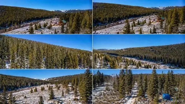 1180 Zebulon Street, Alma, CO 80420 - #1