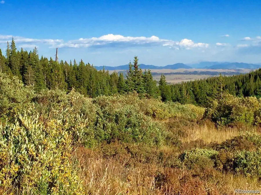 1180 Zebulon Street, Alma, CO 80420 - #2