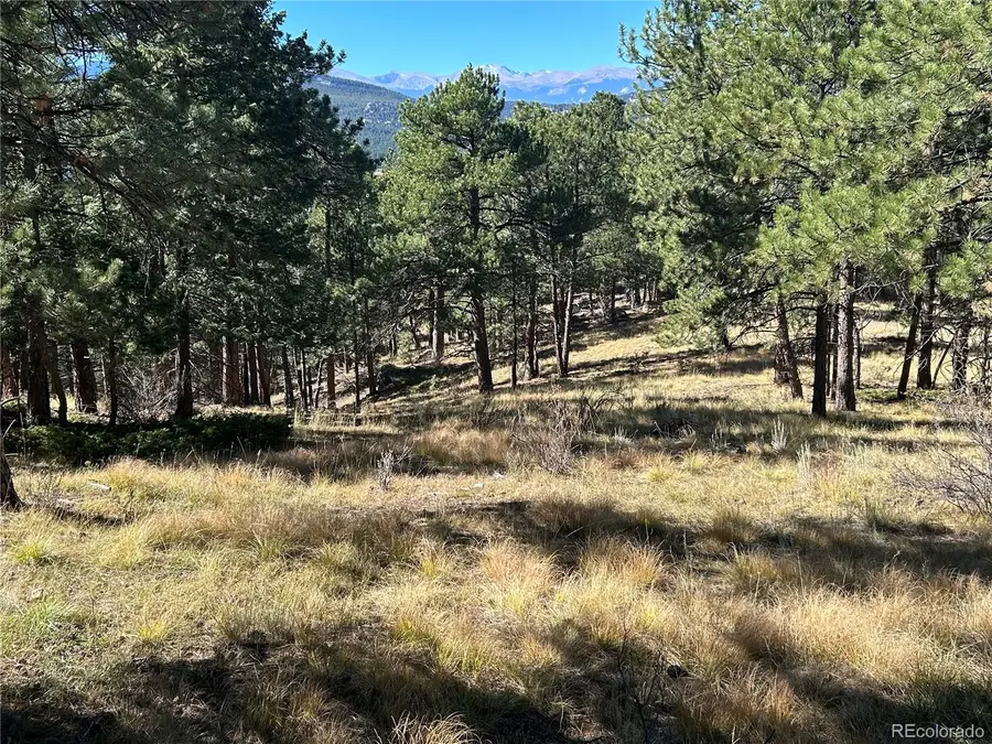 00 White House Trail, Evergreen, CO 80439 - #2