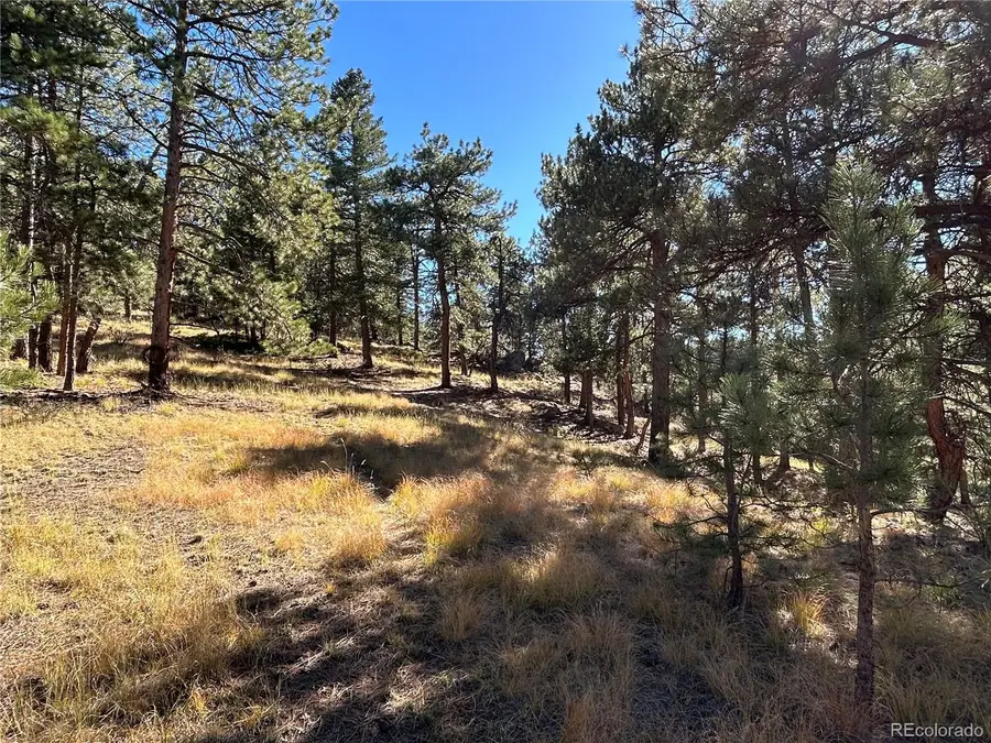 00 White House Trail, Evergreen, CO 80439 - #3