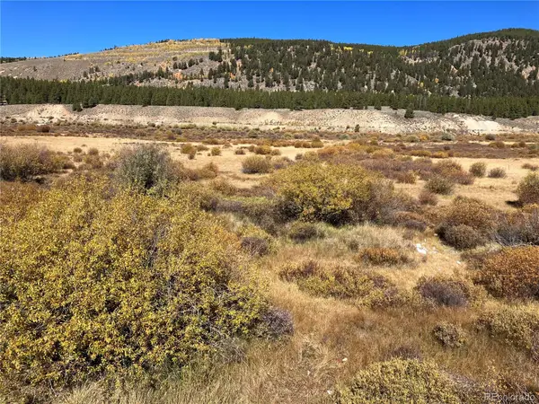 Leadville Land, Leadville, CO 