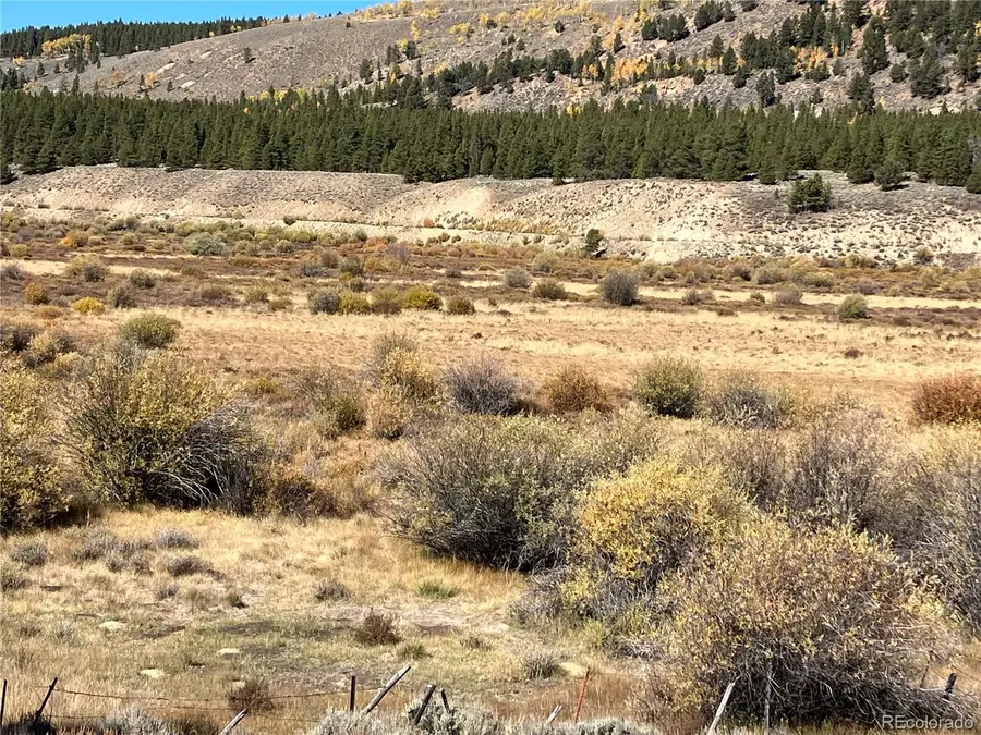 Leadville Land, Leadville, CO  - #3