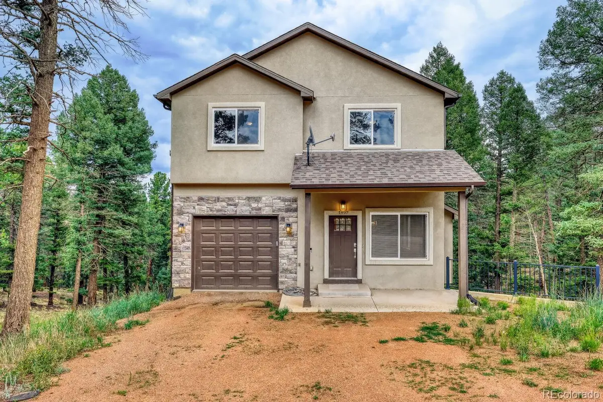 1897 N Mountain Estates Road, Florissant, CO 80816 - #1