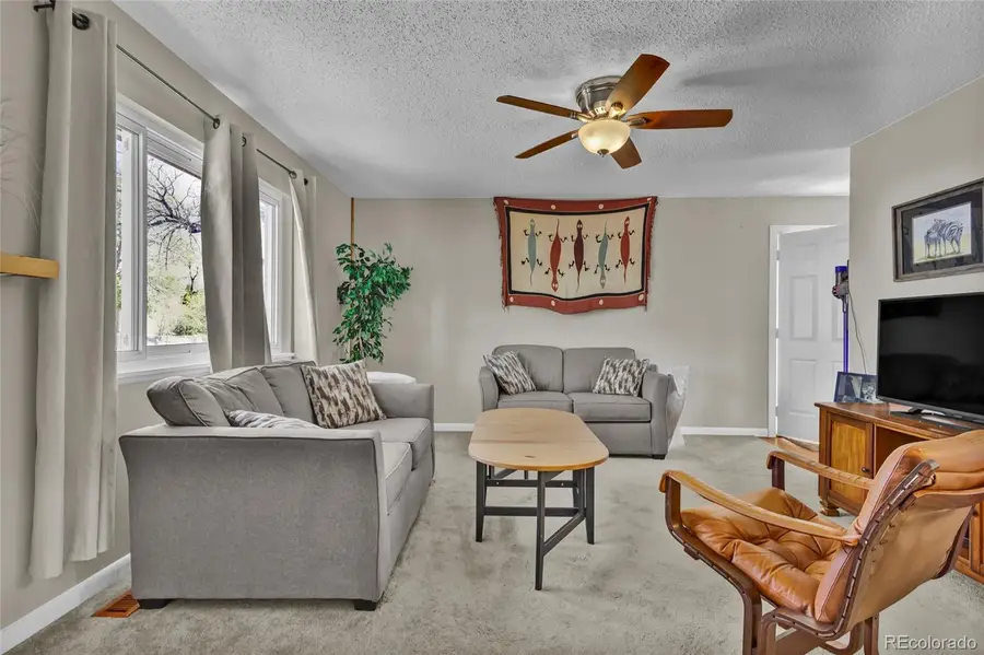 2230 Cleo Street, Welby, CO 80229 - #2