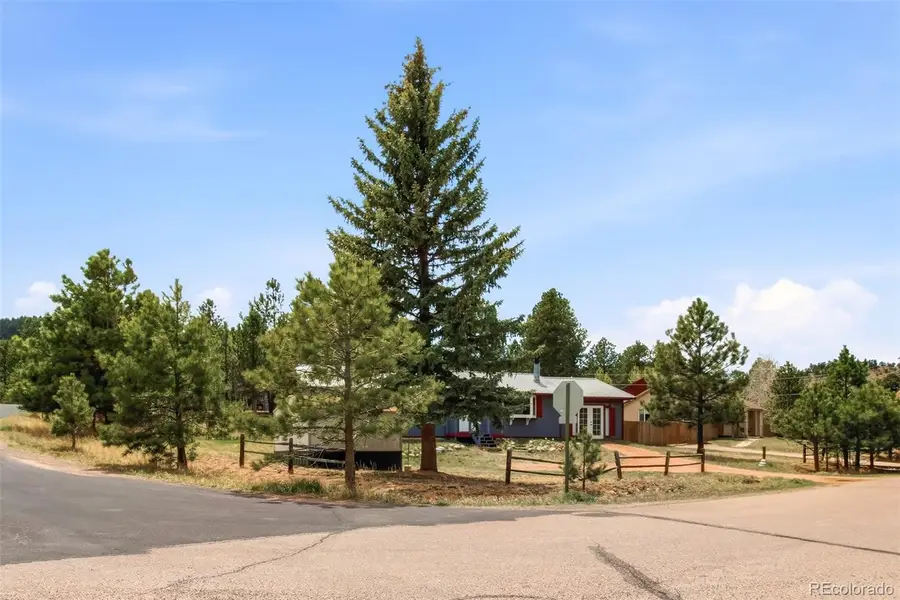 1217 Michael Lane, Woodland Park, CO 80863 - #3