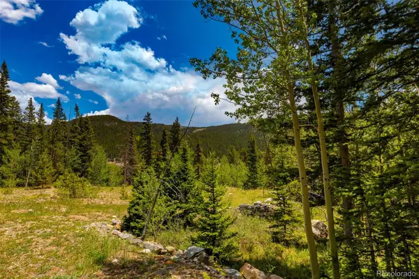 522 Quartzville Road, Alma, CO 80420