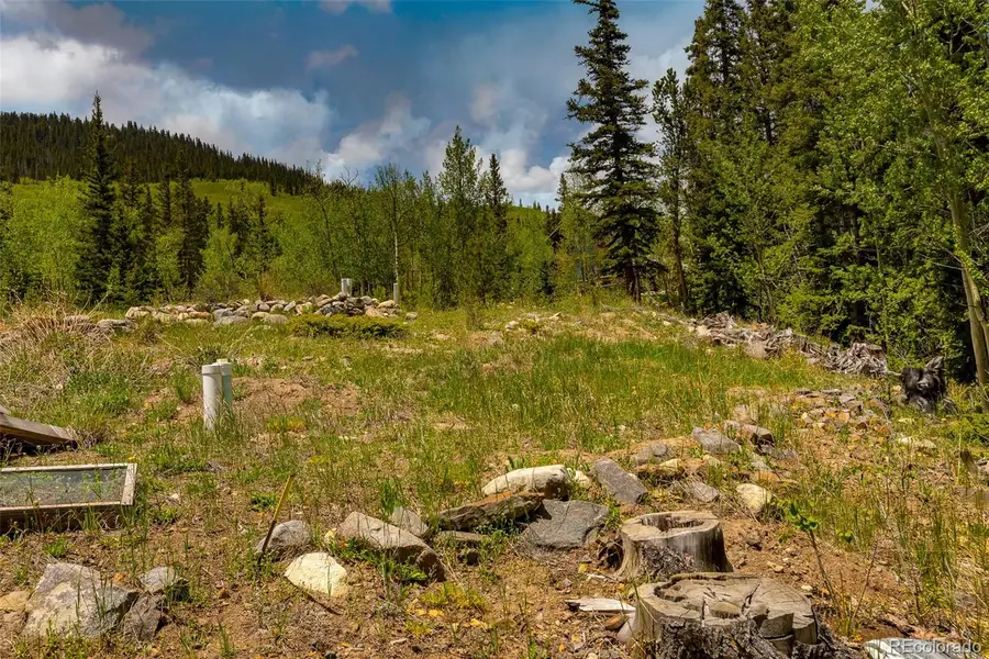 522 Quartzville Road, Alma, CO 80420 - #3