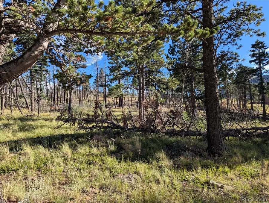 2127 Sigler Drive, Fort Garland, CO 81133 - #2