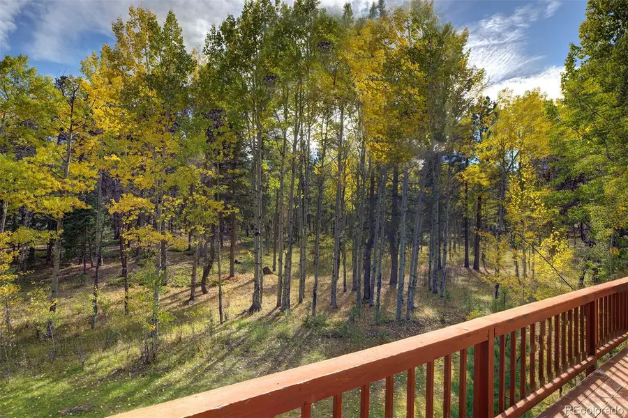 11800 S Ridge, Conifer, CO 80433 - #3
