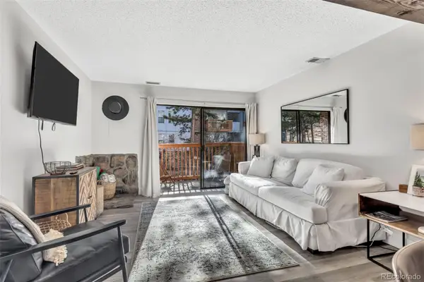 1901 Clear Creek Drive #E102, Georgetown, CO 80444