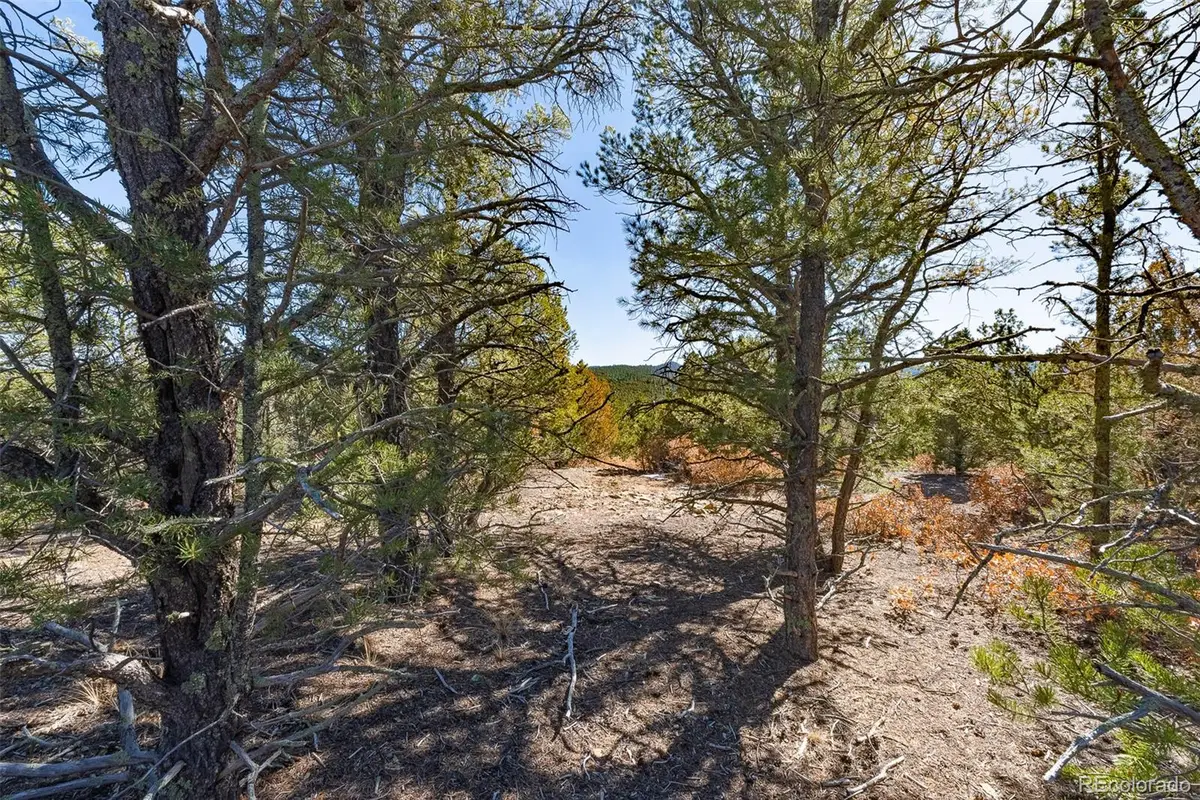 29870 County Rd 16, Trinidad, CO 81082 - #1