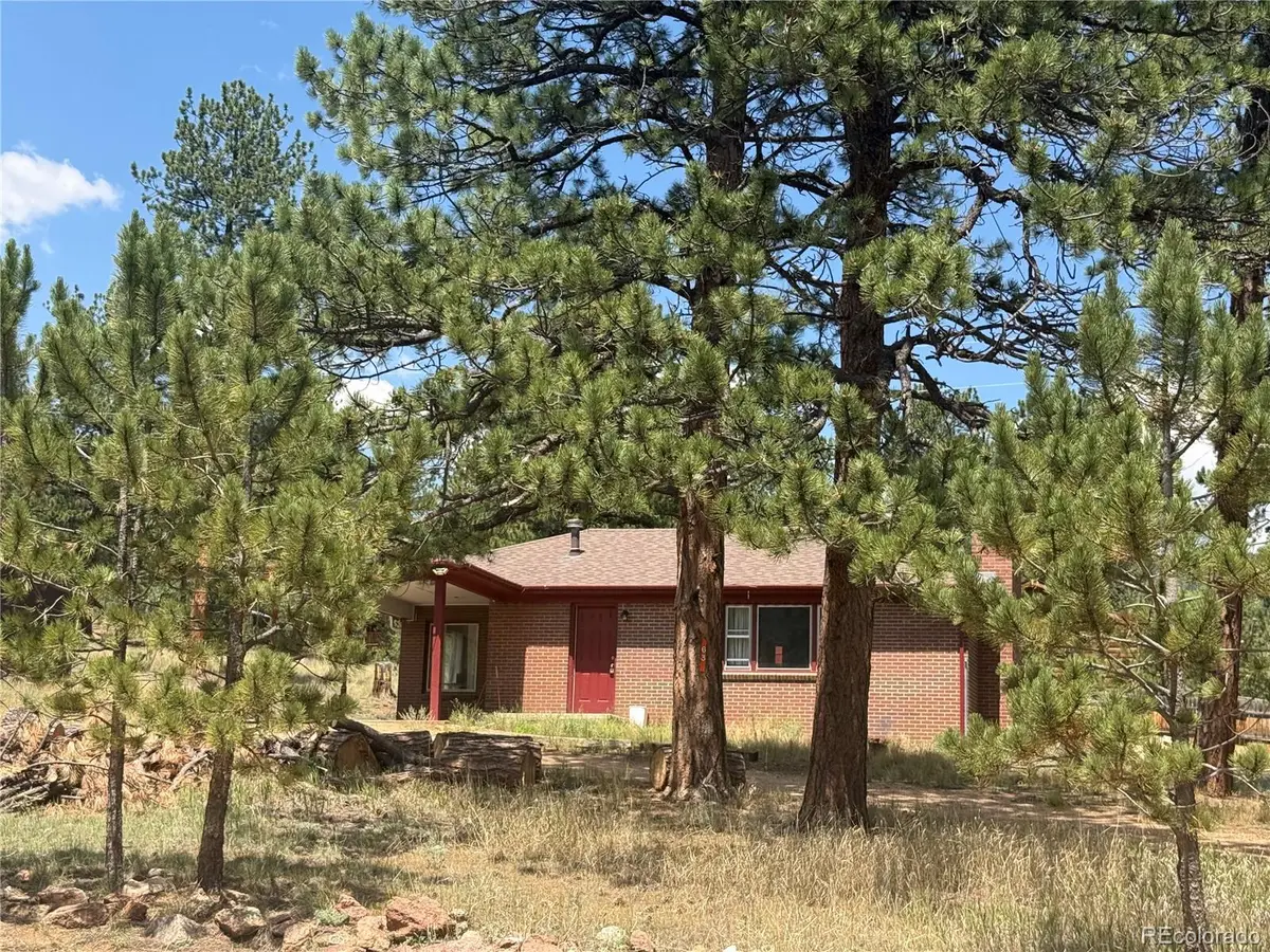 63 Fitzsimmons Road, Bailey, CO 80421 - #1