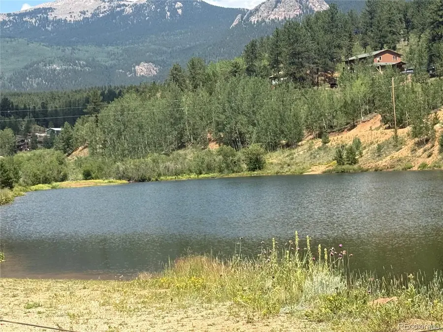63 Fitzsimmons Road, Bailey, CO 80421 - #2