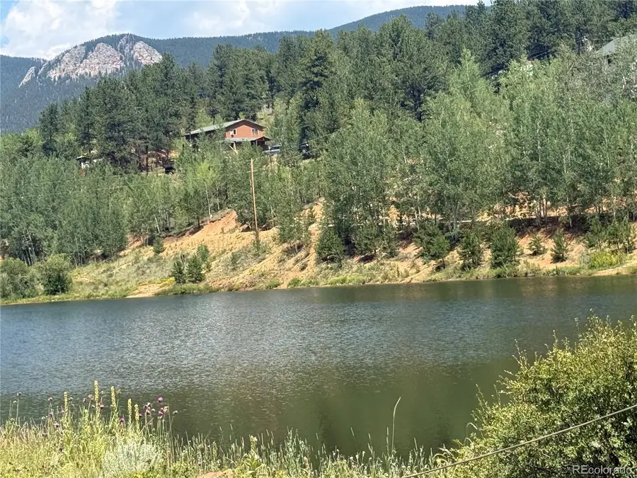 63 Fitzsimmons Road, Bailey, CO 80421 - #3
