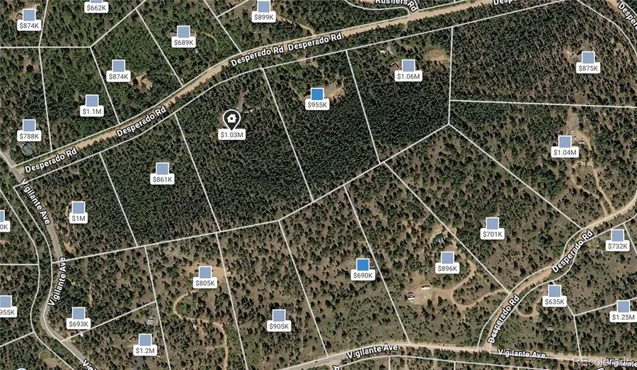 200 Desparado Road, Bailey, CO 80421 - #3