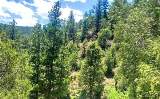 111 Swift Claim Road, Georgetown, CO 80444 - #3