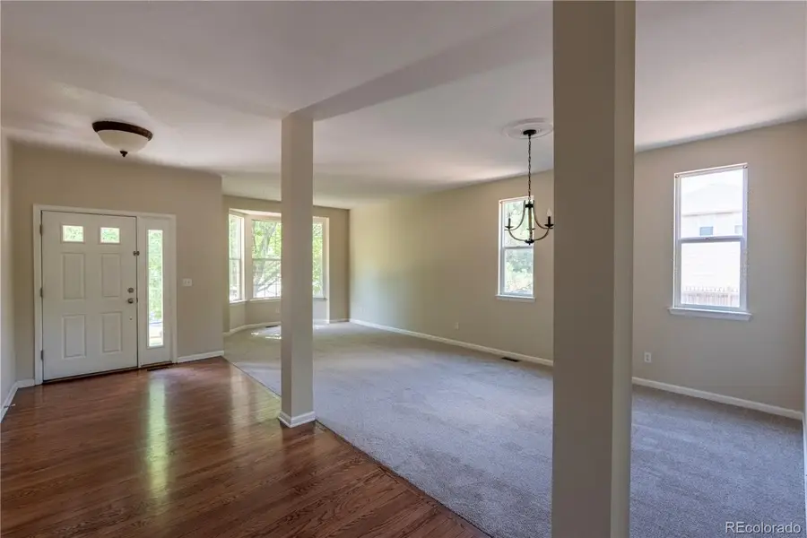 259 Bristlecone Street, Brighton, CO 80601 - #2