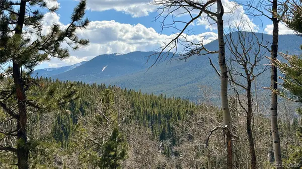 2796 Moir Drive, Fort Garland, CO 81133