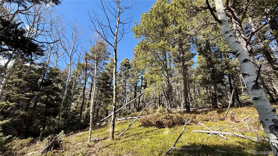 2796 Moir Drive, Fort Garland, CO 81133 - #2