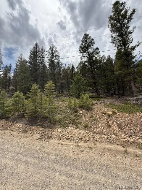 2689 Redhill Road, Fairplay, CO 80440